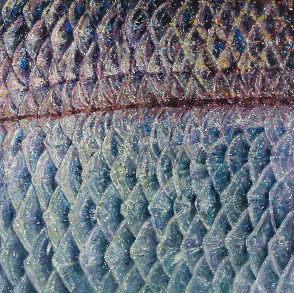 Silbrig-blaue Fischhaut mit regelmäßiger Schuppenstruktur und horizontaler Mittelnaht.