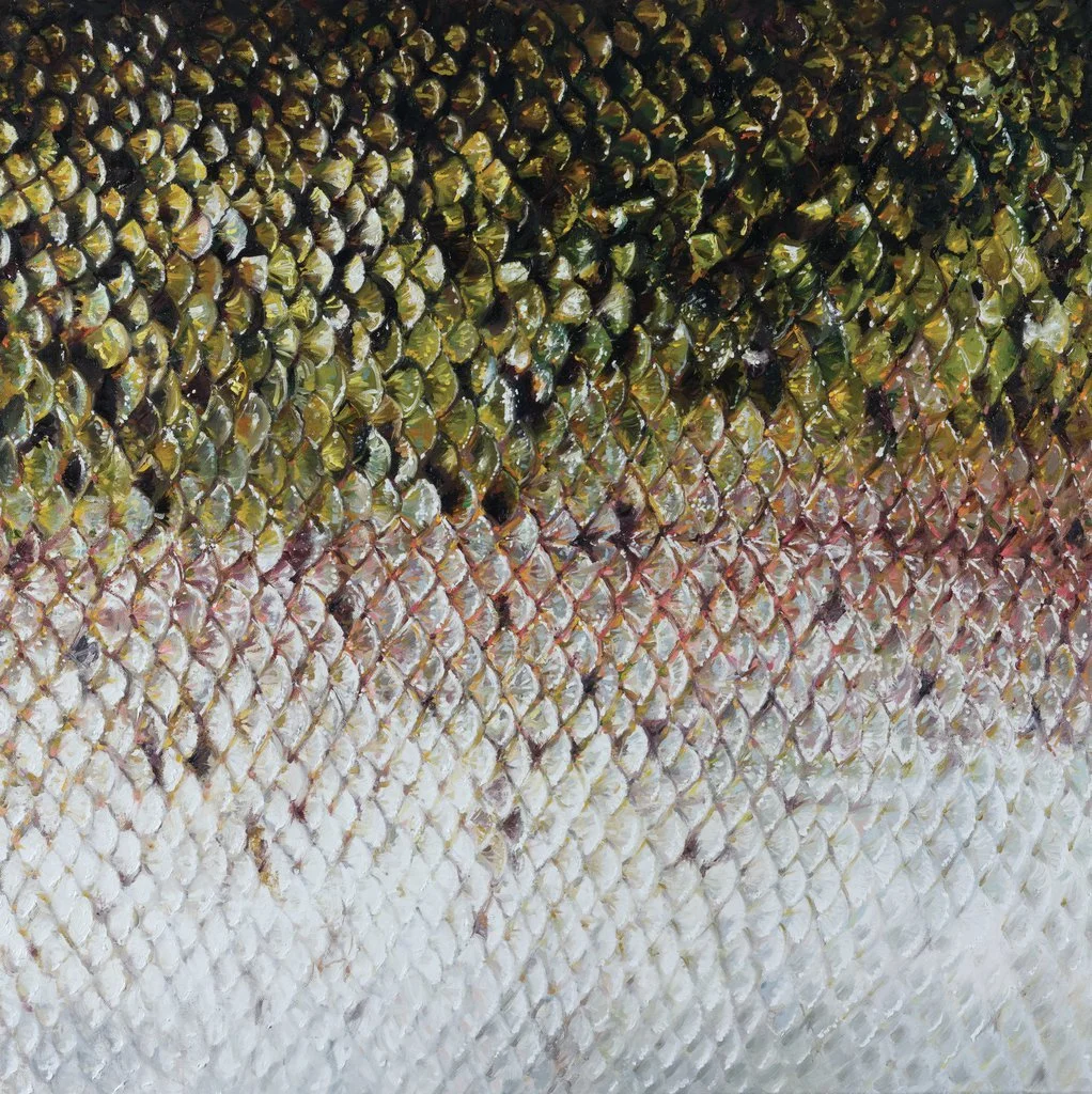 Last Rhythems 1 70 x 70 cm