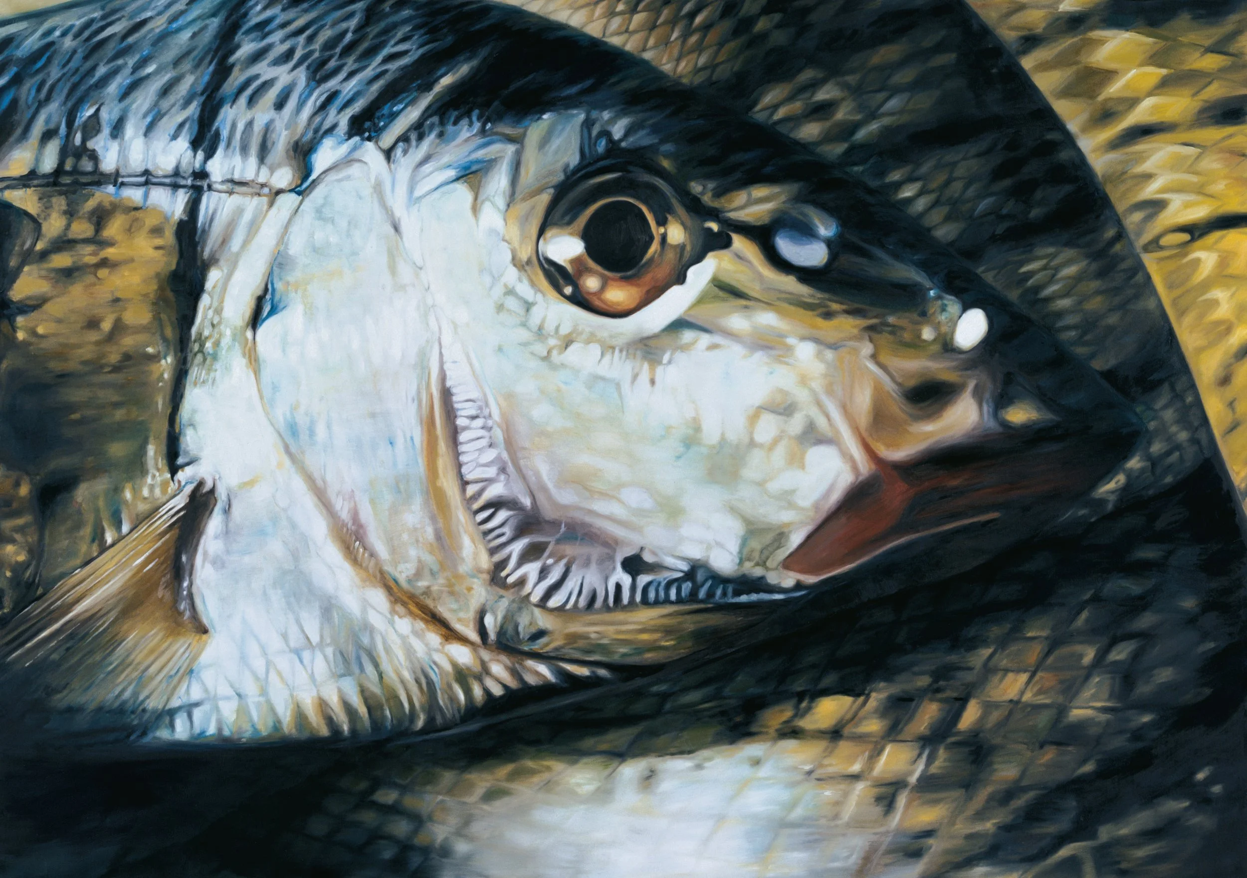Saftig 155 x 220 cm