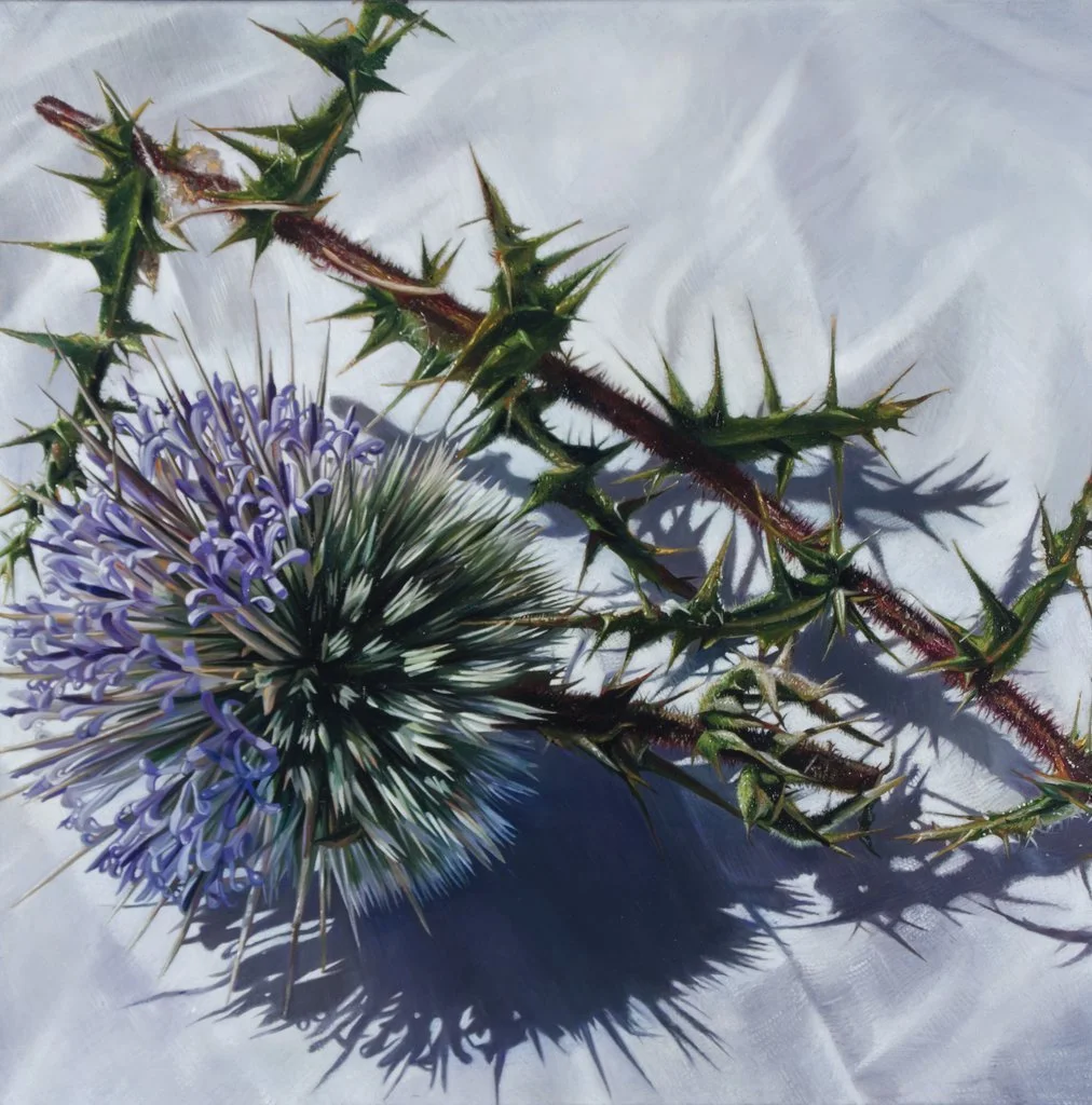 Lars Reiffers – Distel vor hellem Grund