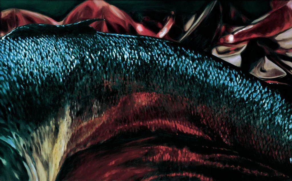 Dunkler Fischkörper mit blauen Reflexen und tiefroten Spiegelungen in Nahsicht.
