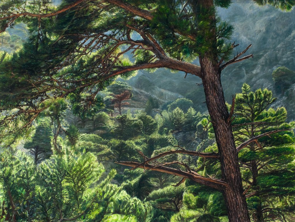 Pinetrees 120 x 160 cm