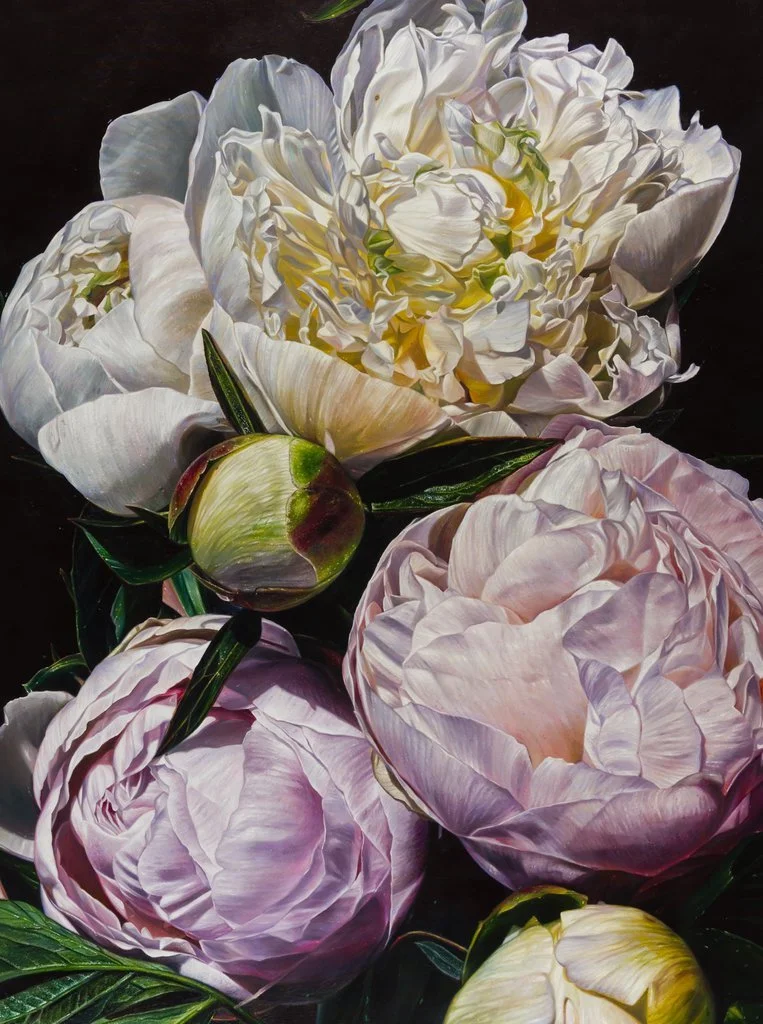 Blumenstillleben von Lars Reiffers mit weißen und rosafarbenen Pfingstrosen und Knospen vor dunklem Hintergrund.