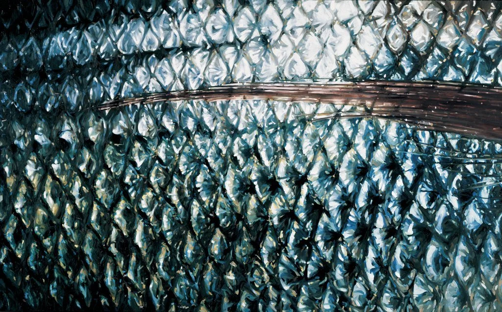 Silbrig-blaue Fischhaut mit Flosse in kühler Nahsicht und klarer Schuppenordnung.