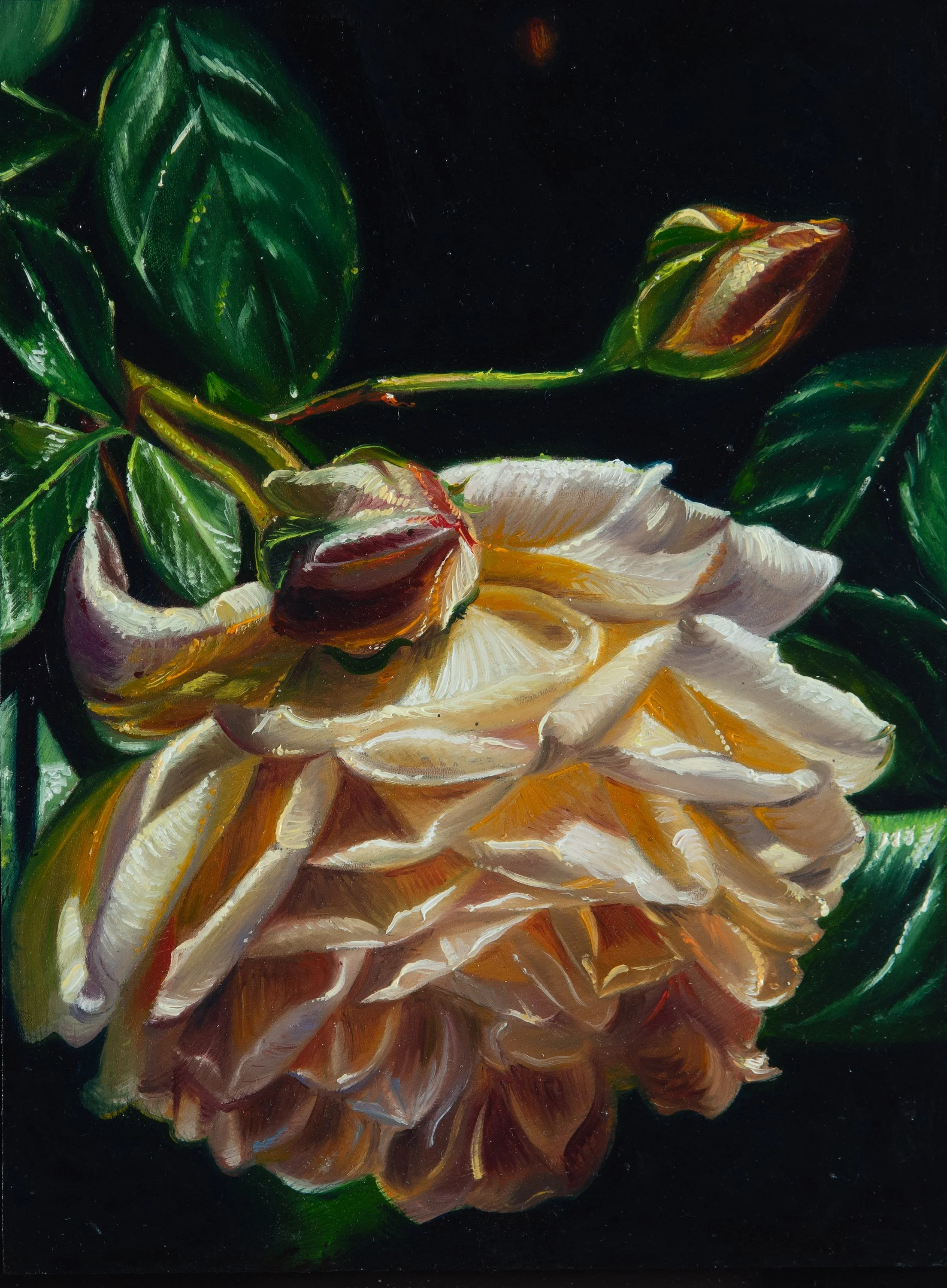 Rosen 2 24x18 cm Öl auf Holz
