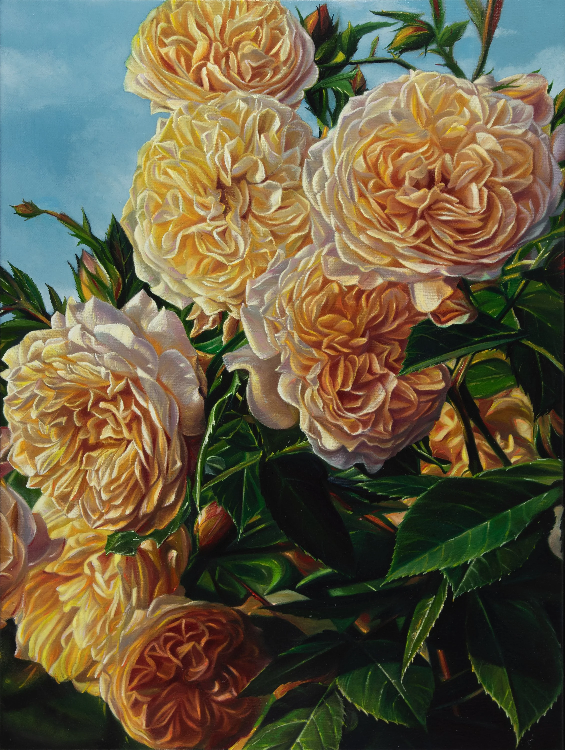 Summer 2 80x60 cm Öl auf Nessel