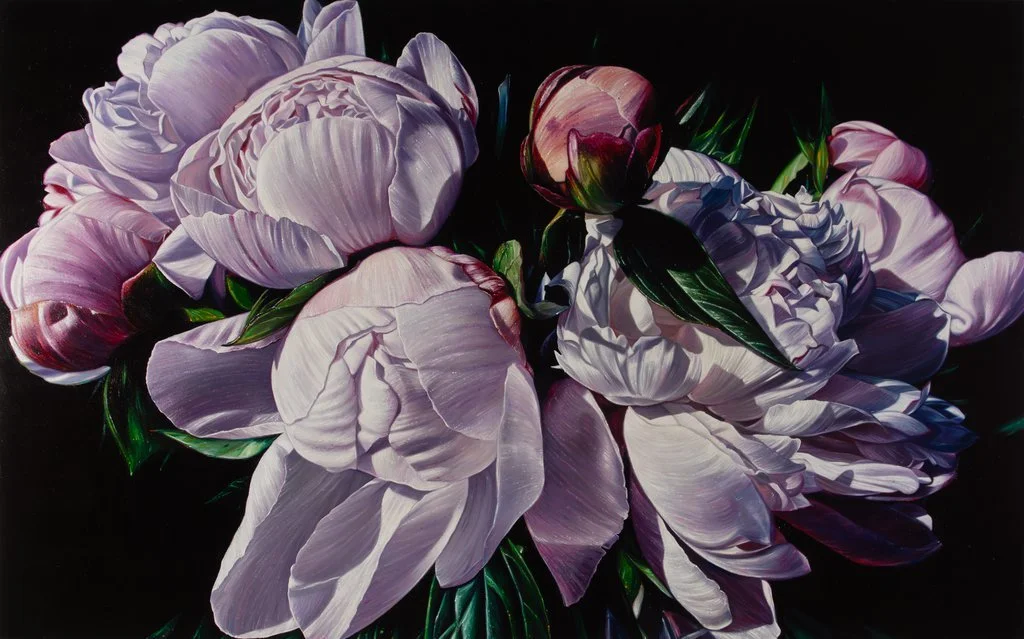 Blumenstillleben von Lars Reiffers mit rosa und weißen Pfingstrosen vor dunklem Hintergrund.