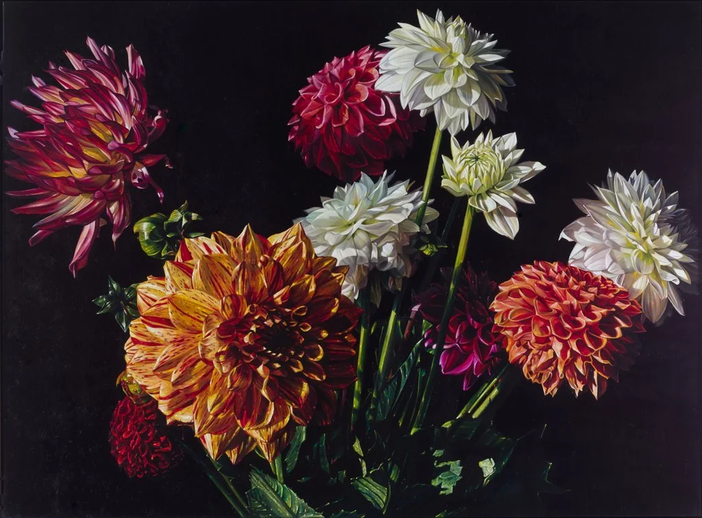 Blumenstillleben von Lars Reiffers mit roten, weißen und gelblichen Dahlien auf schwarzem Hintergrund.