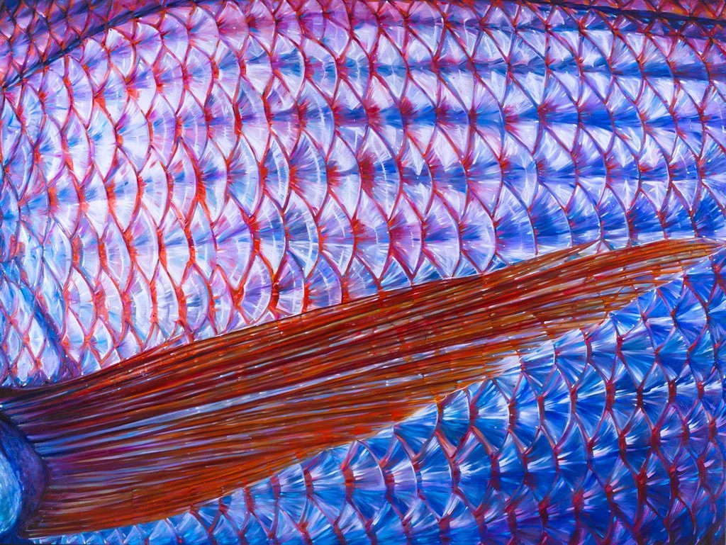 Fischhaut in Blau, Rosa und Violett mit diagonal verlaufender roter Flosse