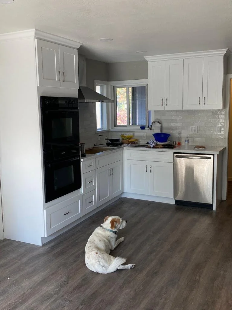 A kitchen with white cabinets, a countertop with dishes including a blue bowl and a yellow bowl, a stainless steel dishwasher, and a window above the sink. There is a dog lying on the wooden floor in the foreground.