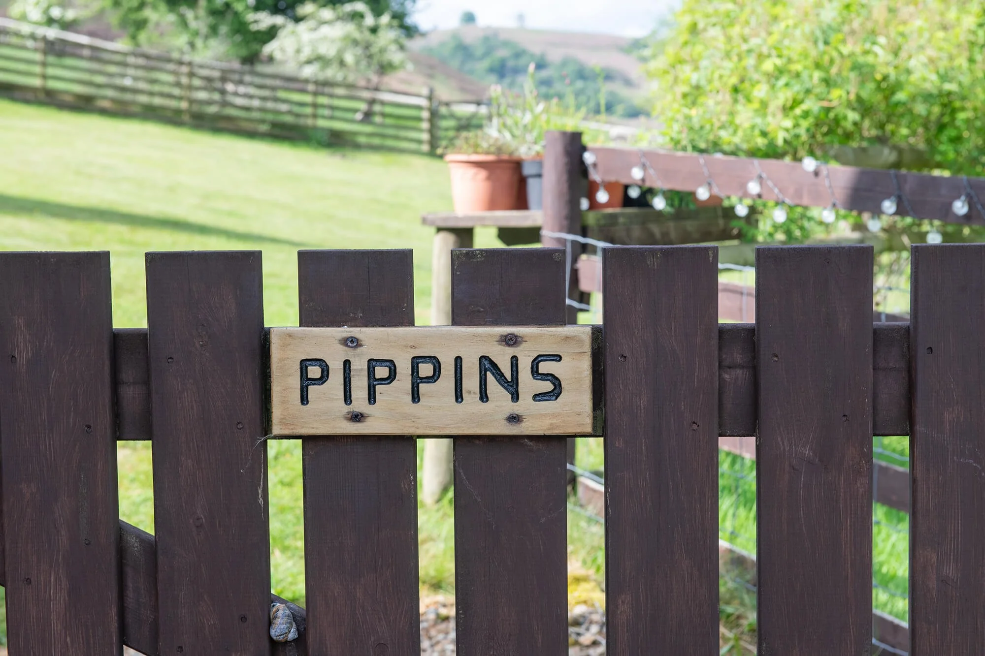 Wooden garden fence with a small sign that reads 'PIPPINS' in black letters, with a background of a green yard, potted plants, and string lights.