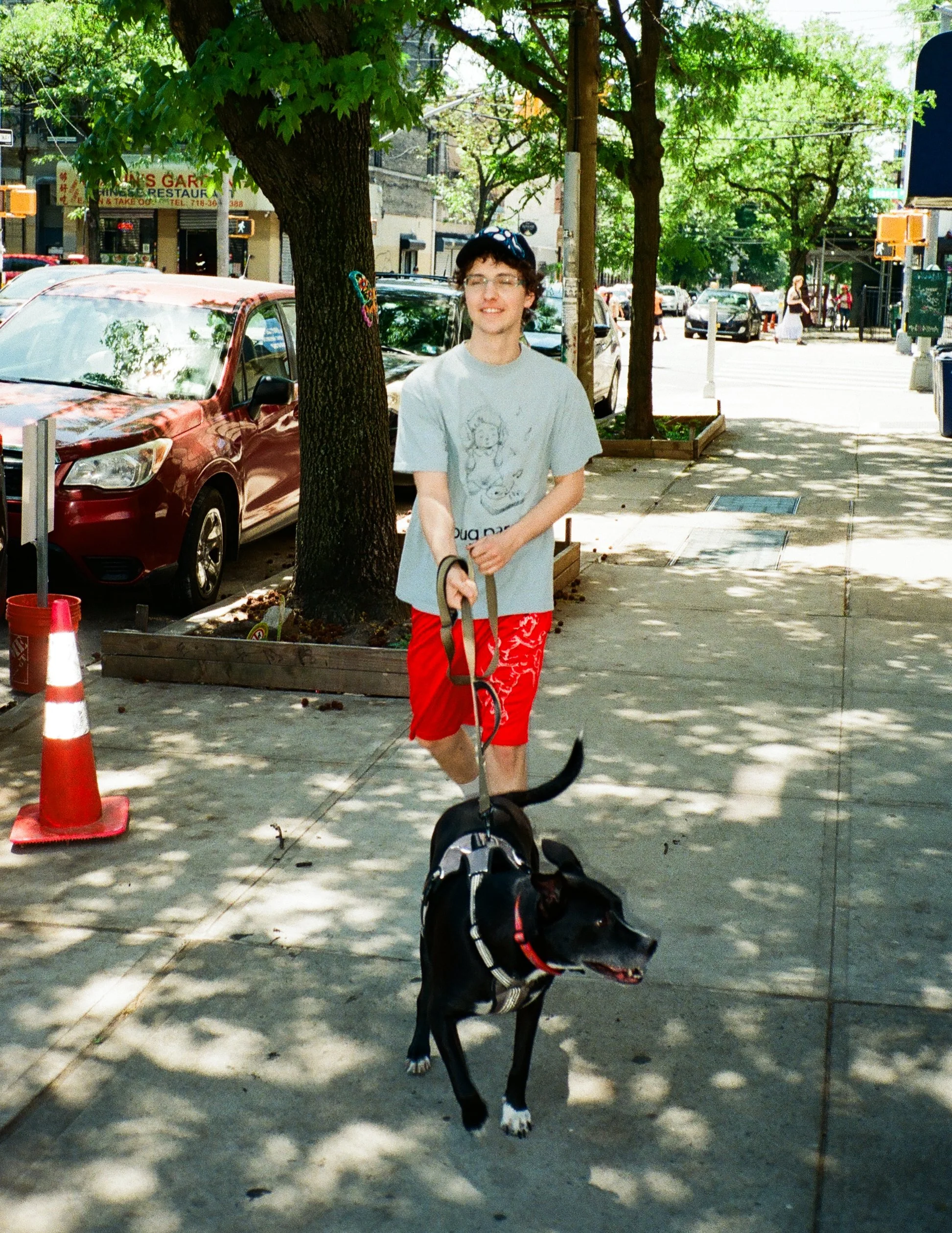 A young man smiling and walking a dog on a leash on a city sidewalk lined with trees, parked cars, and shops in the background.