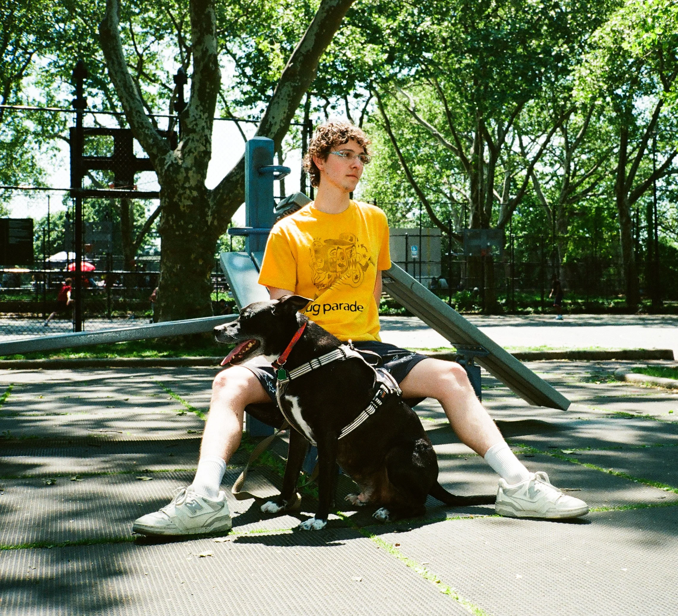A young person with curly hair and glasses sitting on a park bench, wearing a yellow t-shirt and shorts, holding a dog on their lap, with trees and a playground in the background.