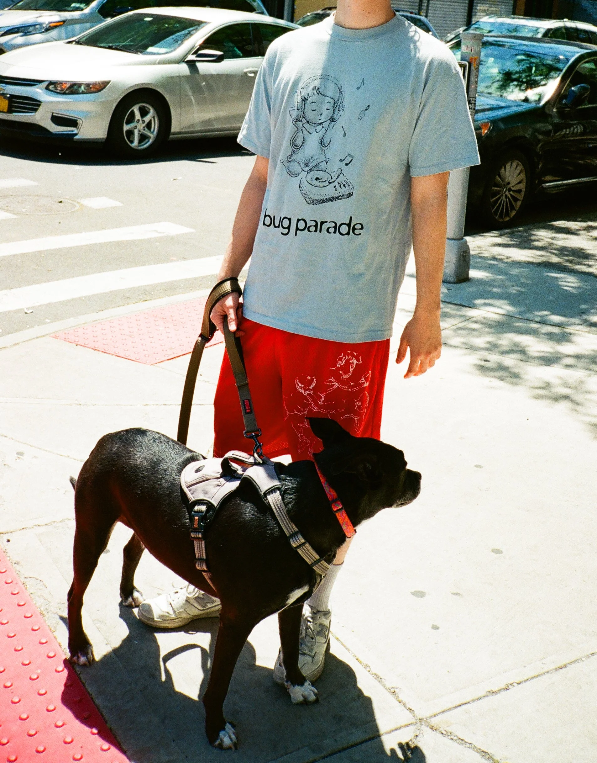 A person wearing a gray t-shirt with a cartoon graphic of a girl DJing and the text "bug parade" standing next to a black dog on a leash outside on a sunny day. Several parked cars are in the background.