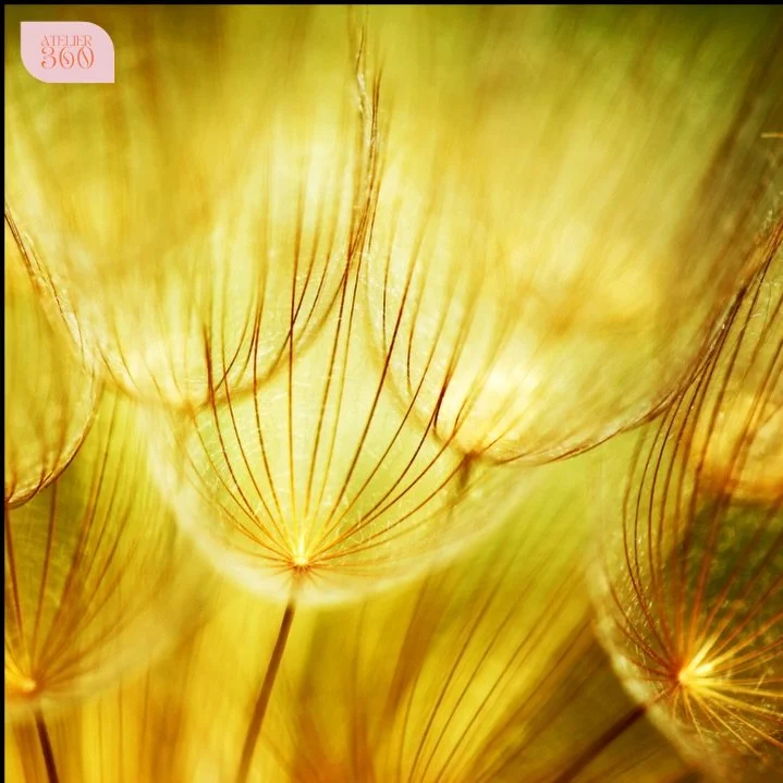 We zoom in before we zoom out.
Because great brands are made of thousands of small, precise decisions.

#BrandStrategy
#DesignThinking
#CustomerExperience