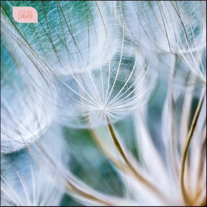 Step by step. Detail by detail.
#BrandStrategy
#DesignThinking
#CustomerExperience