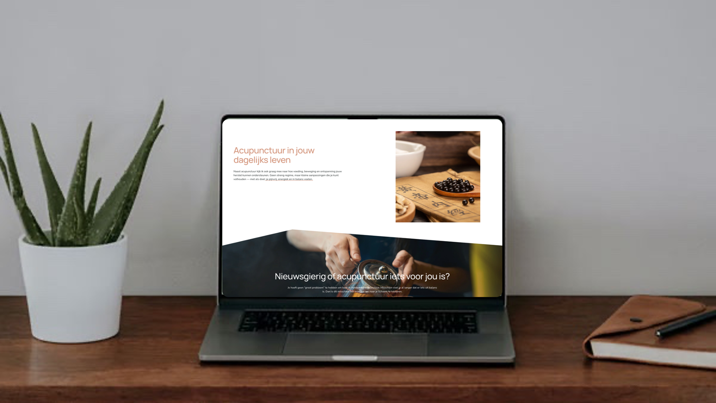 ARIQI Acupuncture - translating philosophy into a calm, human brand experience