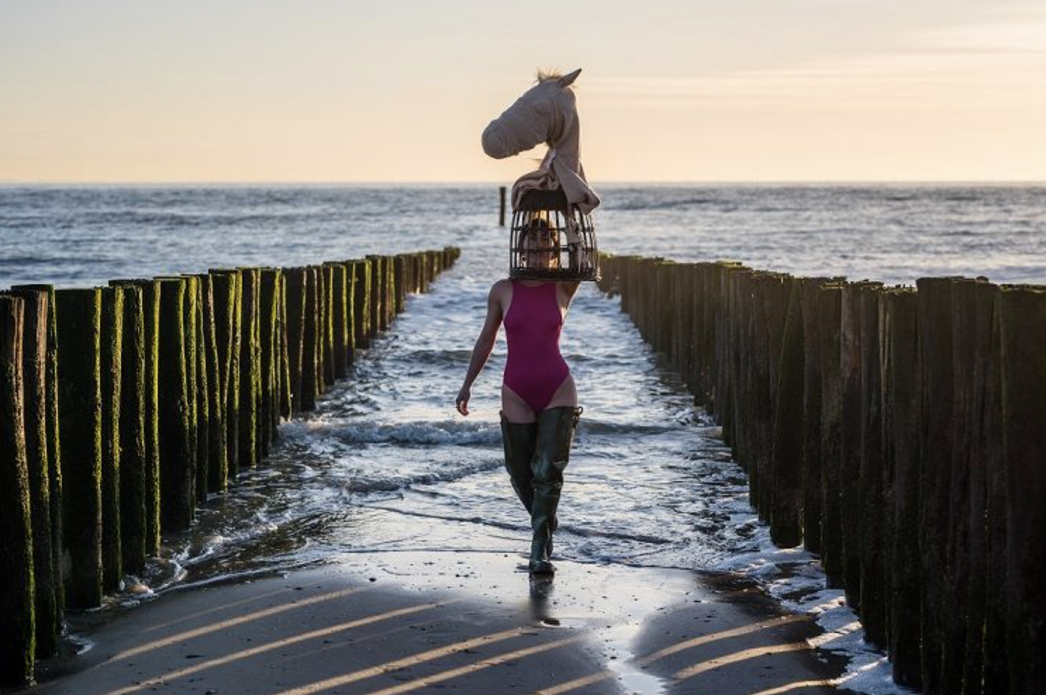 Zeeland Nazomerfestival Theaterproductiehuis Zeelandia 2017