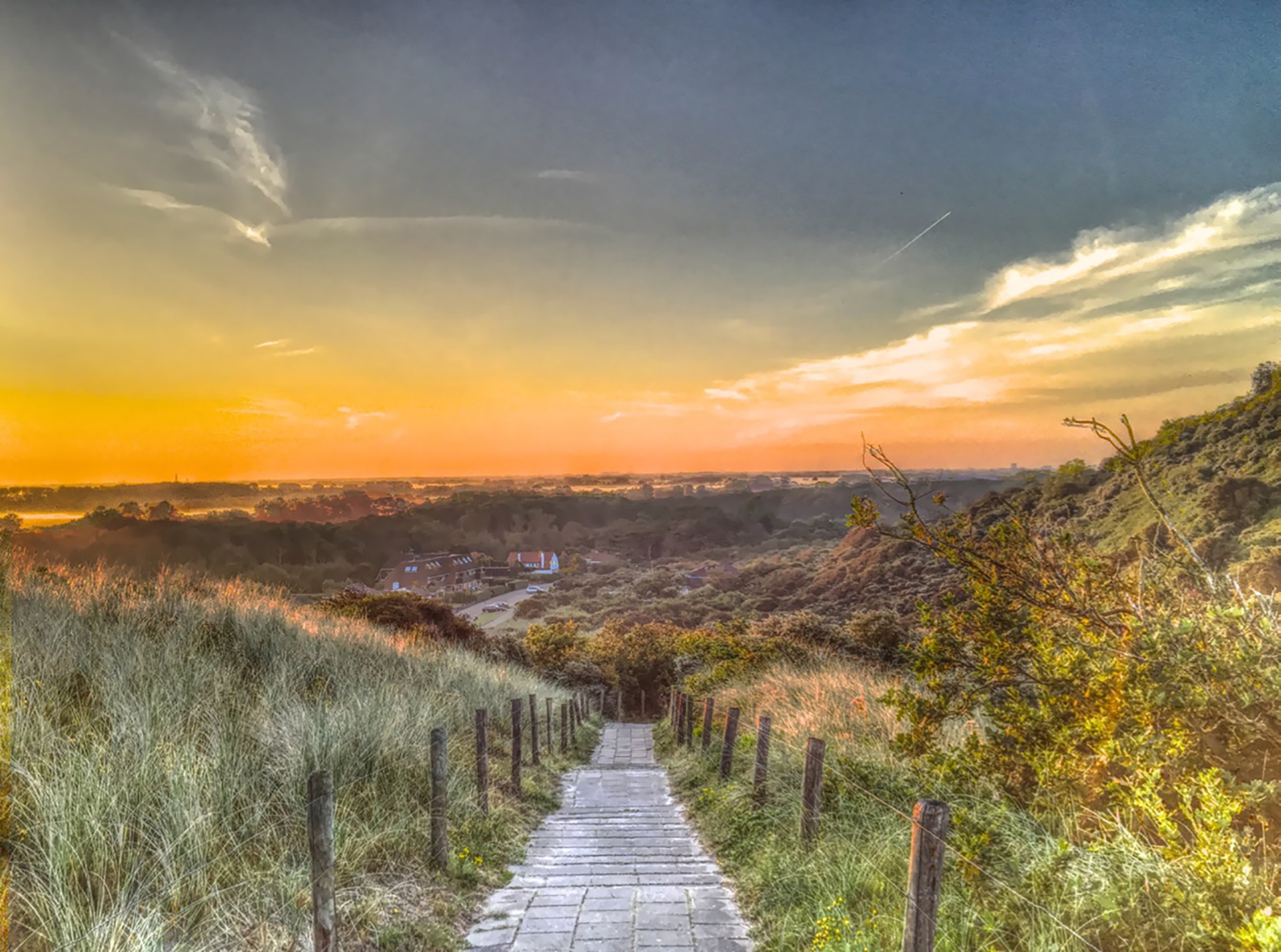 Peaceful nature scene with soft sunset colors, tall grasses, and an empty trail stretching into the distance..jpg