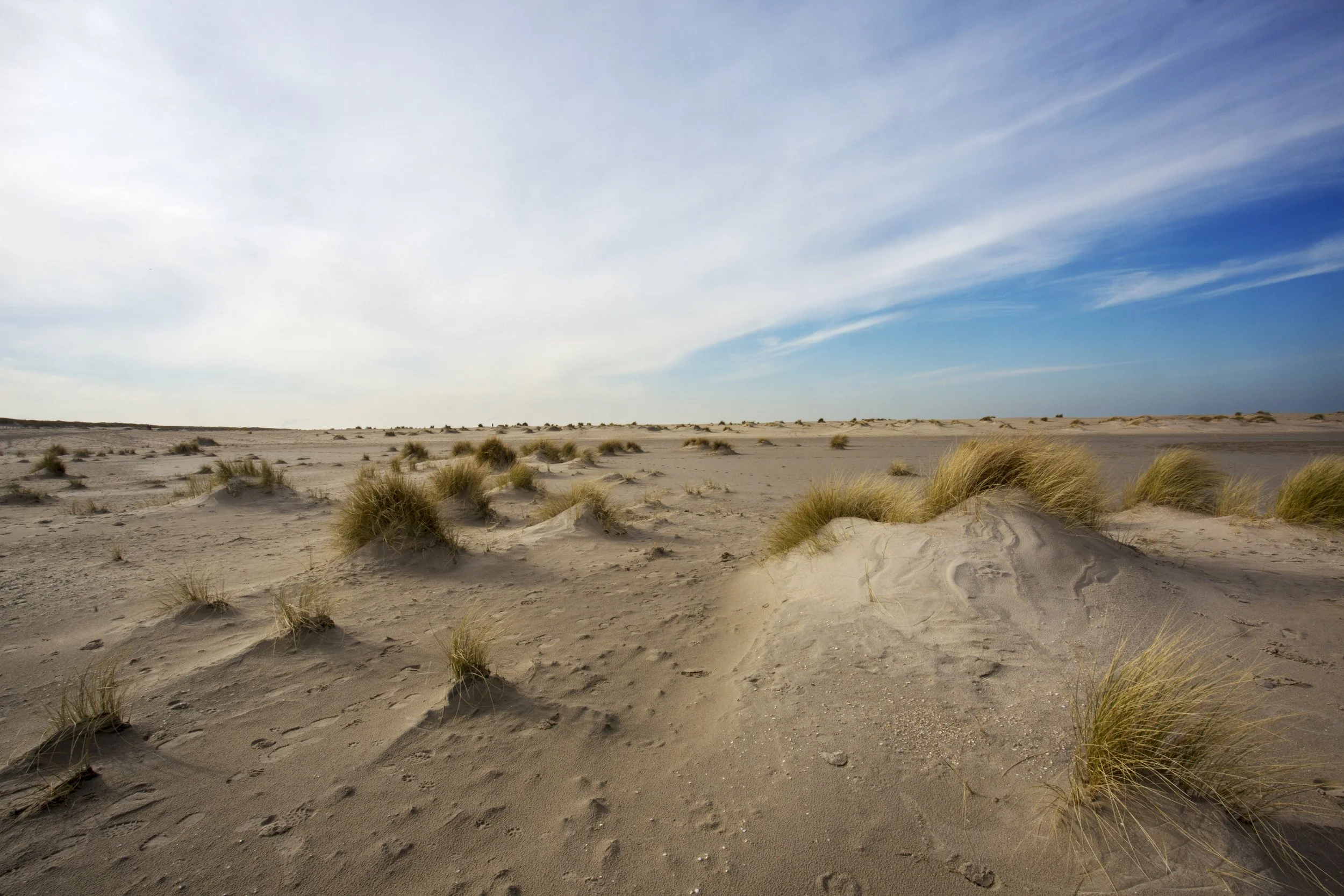 Duinen strand lente Zandmotor.jpg