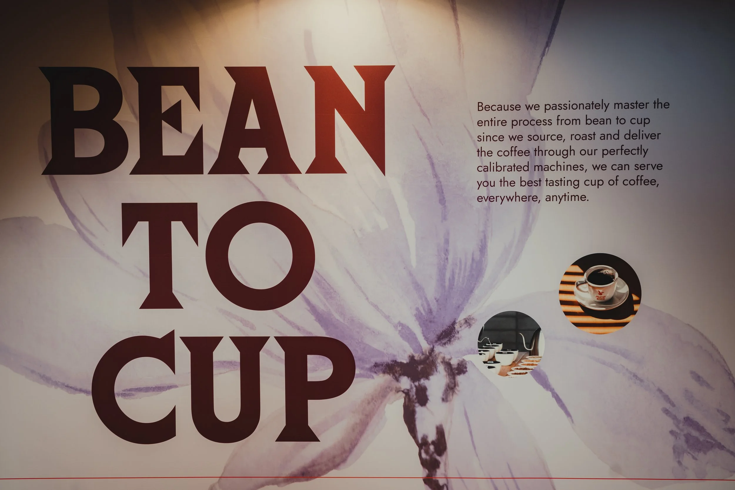 Pelican Rouge Bean to Cup Coffee design.jpg