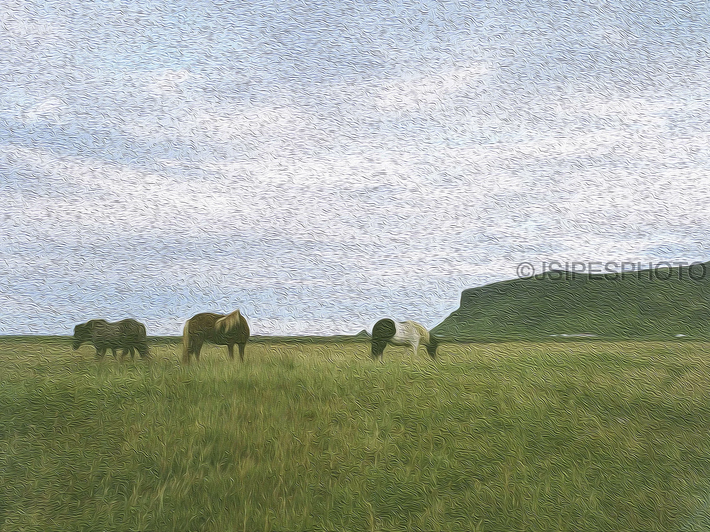 Icelandic Horses Paint Brush Style