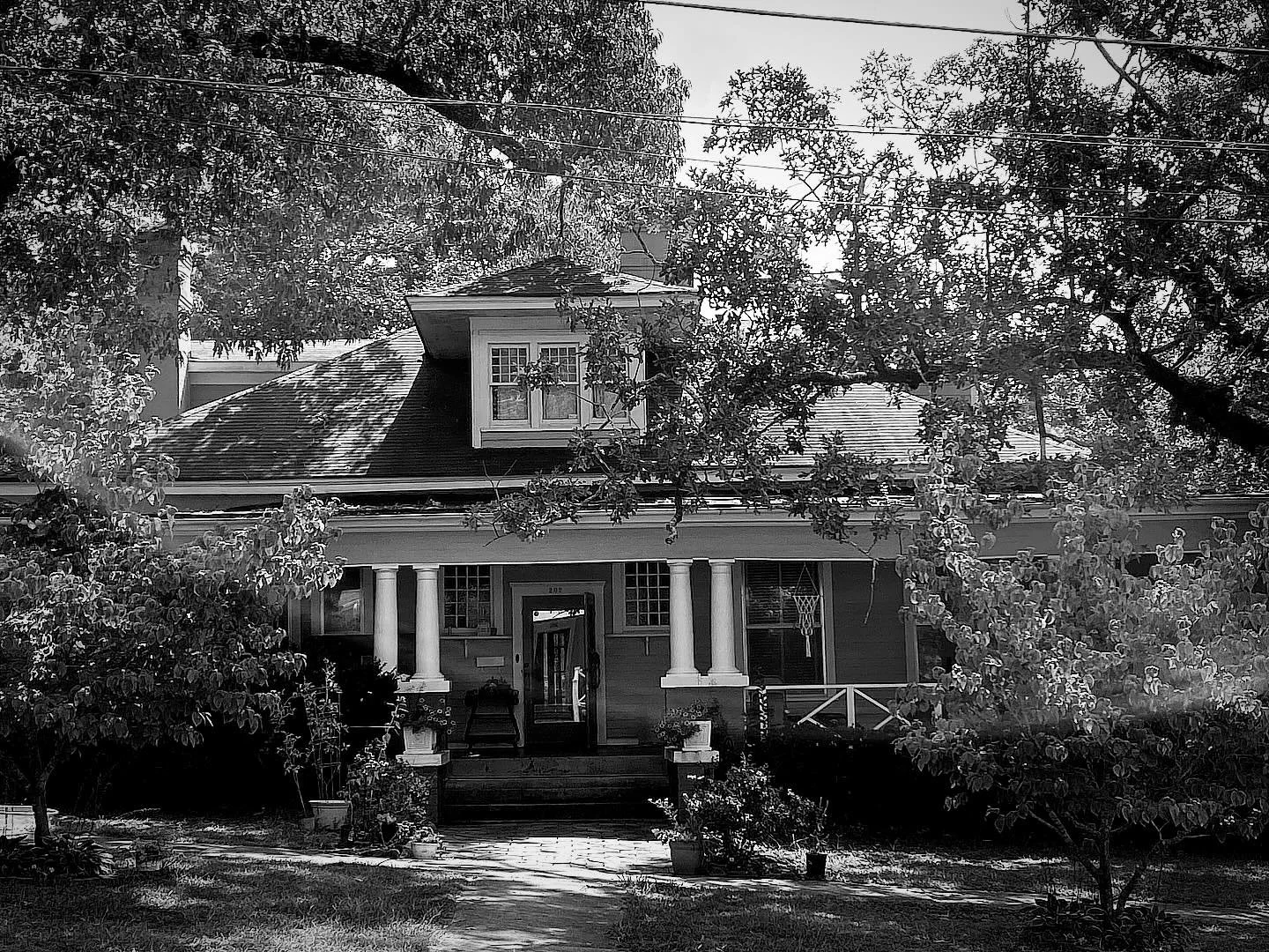 There was a tree&hellip;

Yesterday, I was the student in a wonderful creative writing workshop with a dear, kindred-spirit Instagram friend. @kristinvanderlip welcomed a wonderful group of playful writers into her safe space - for creating, for cari