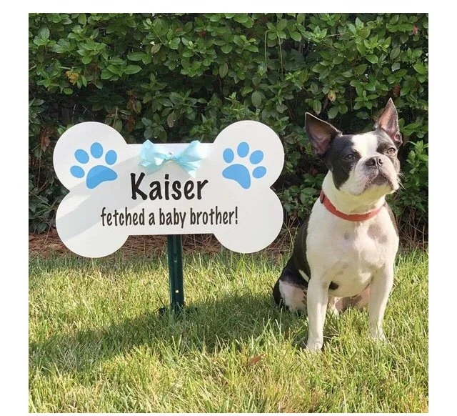 Dog Bone "Sibling" Announcement