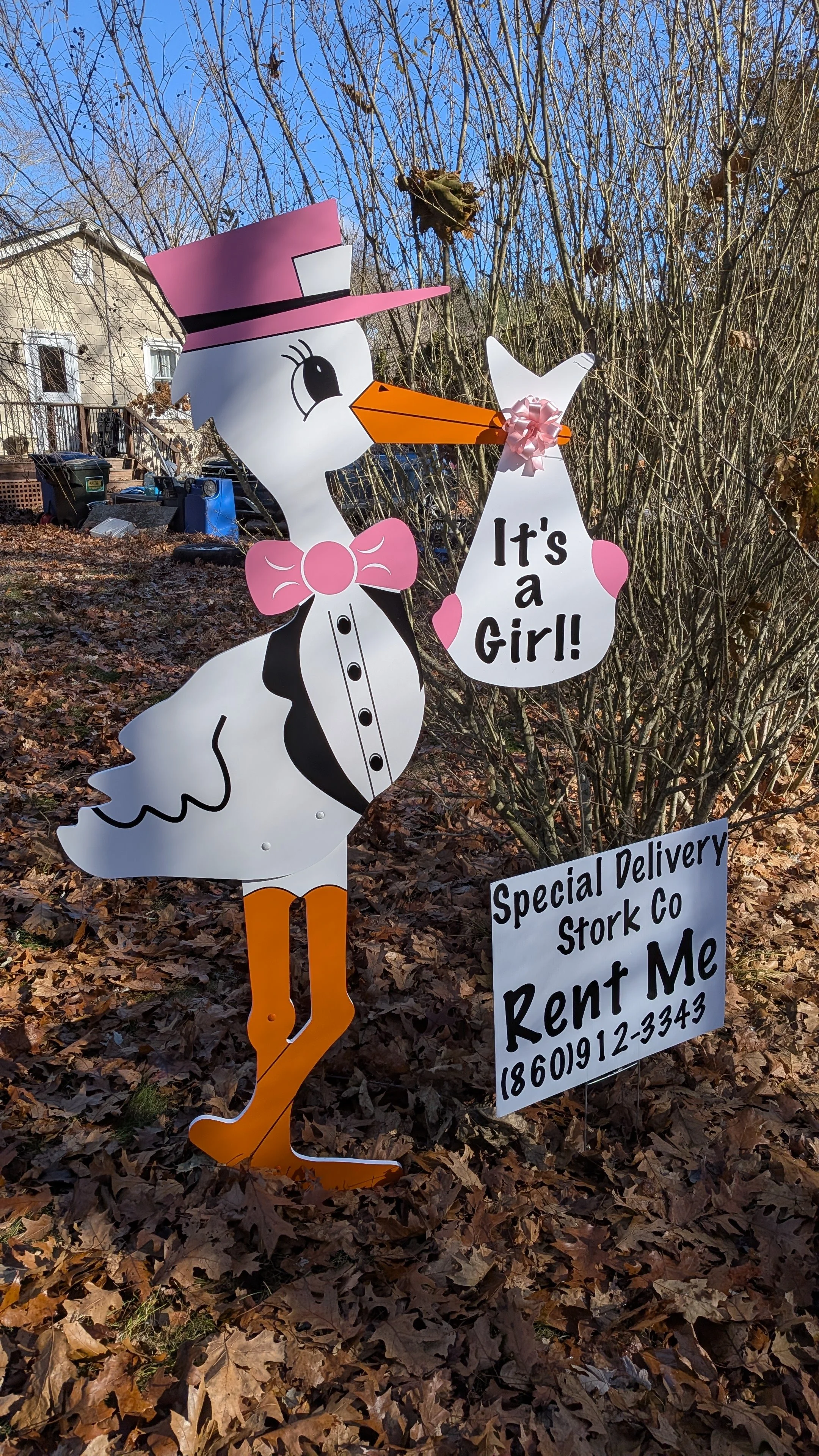 Stork Rental - Generic