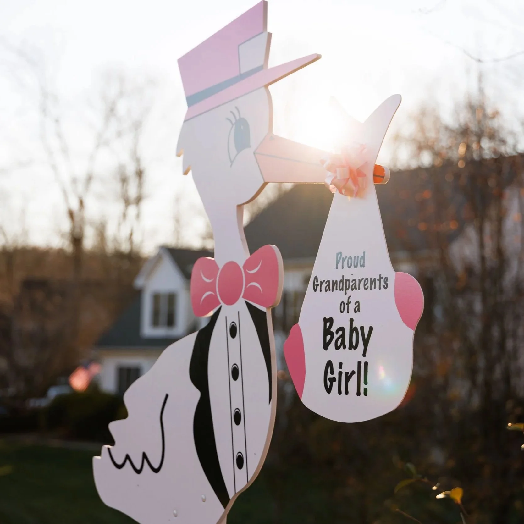 Stork Rental - Generic Grandparent