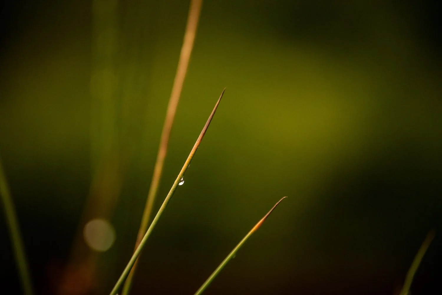 Sophie Deschamps  / ©Parks Canada