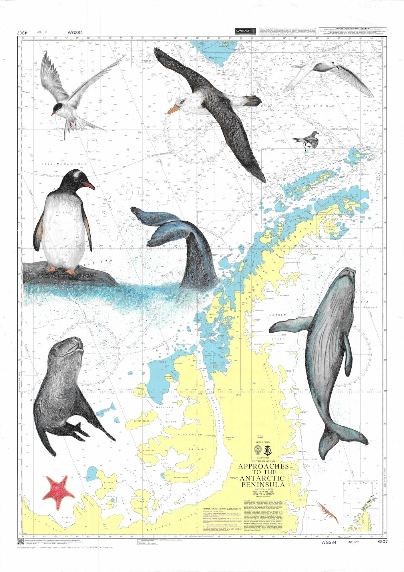 Approaches to the Antarctic Peninsula 5.jpg