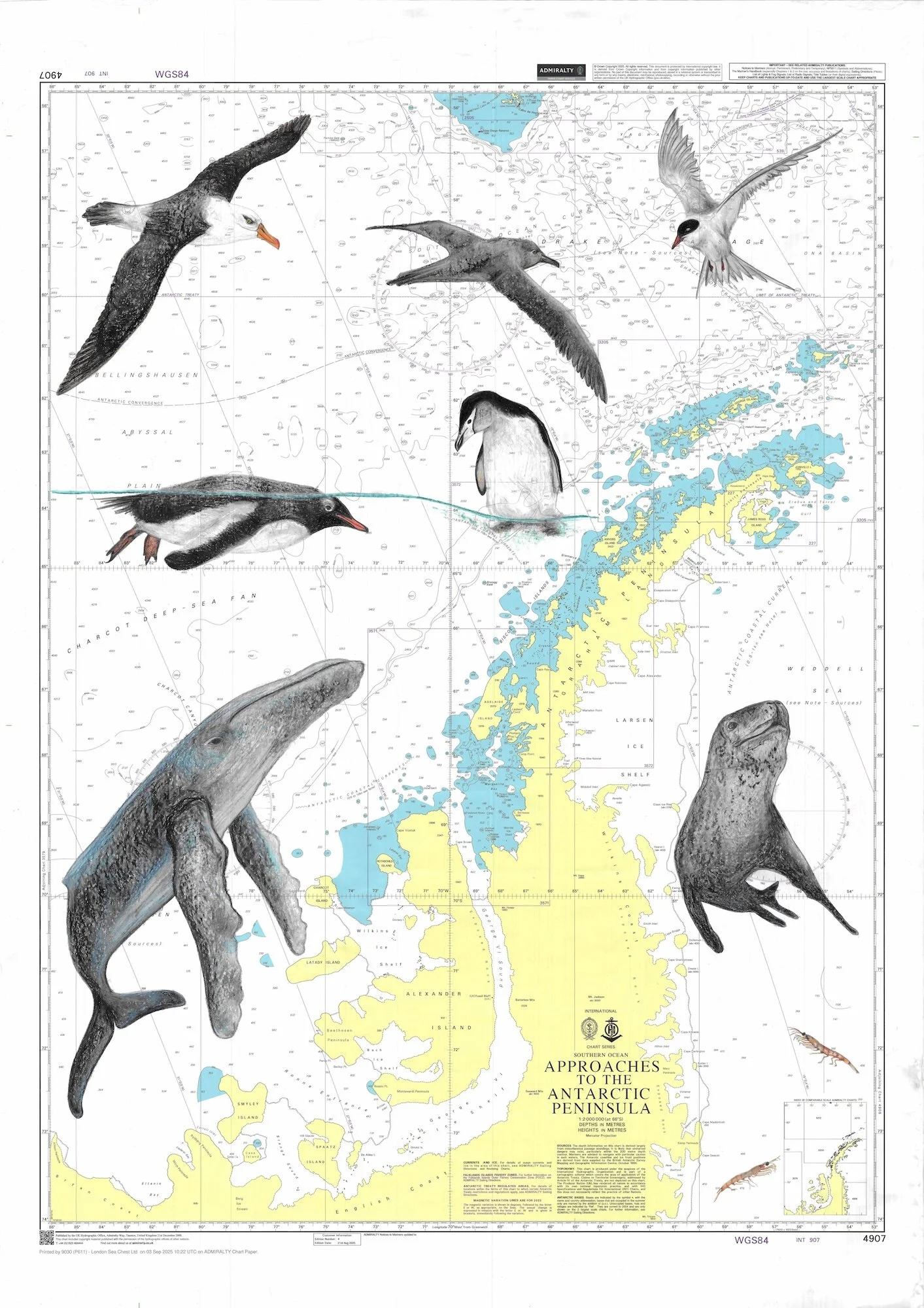 Approaches to the Antarctic Peninsula.jpg