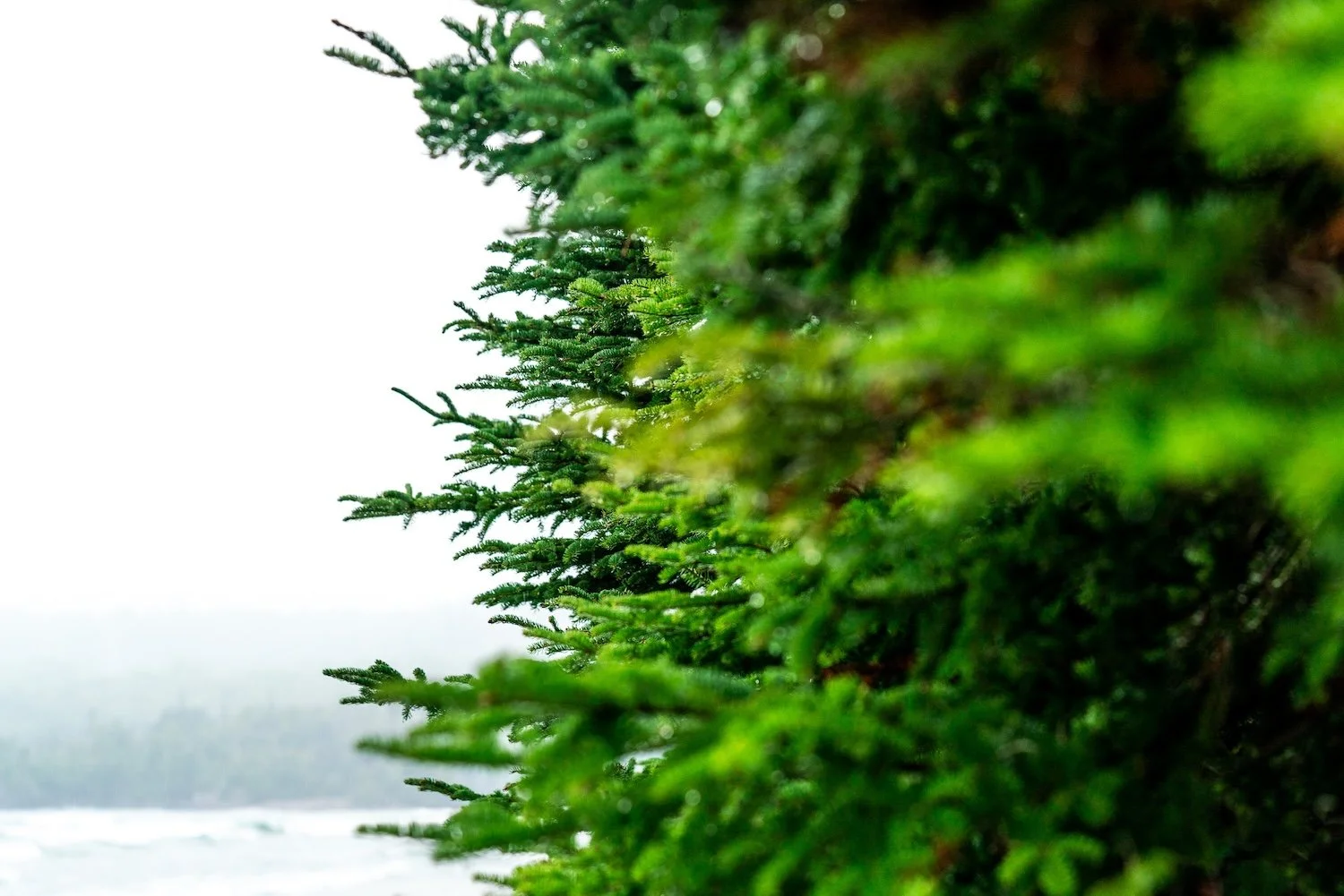 Sophie Deschamps  / ©Parks Canada