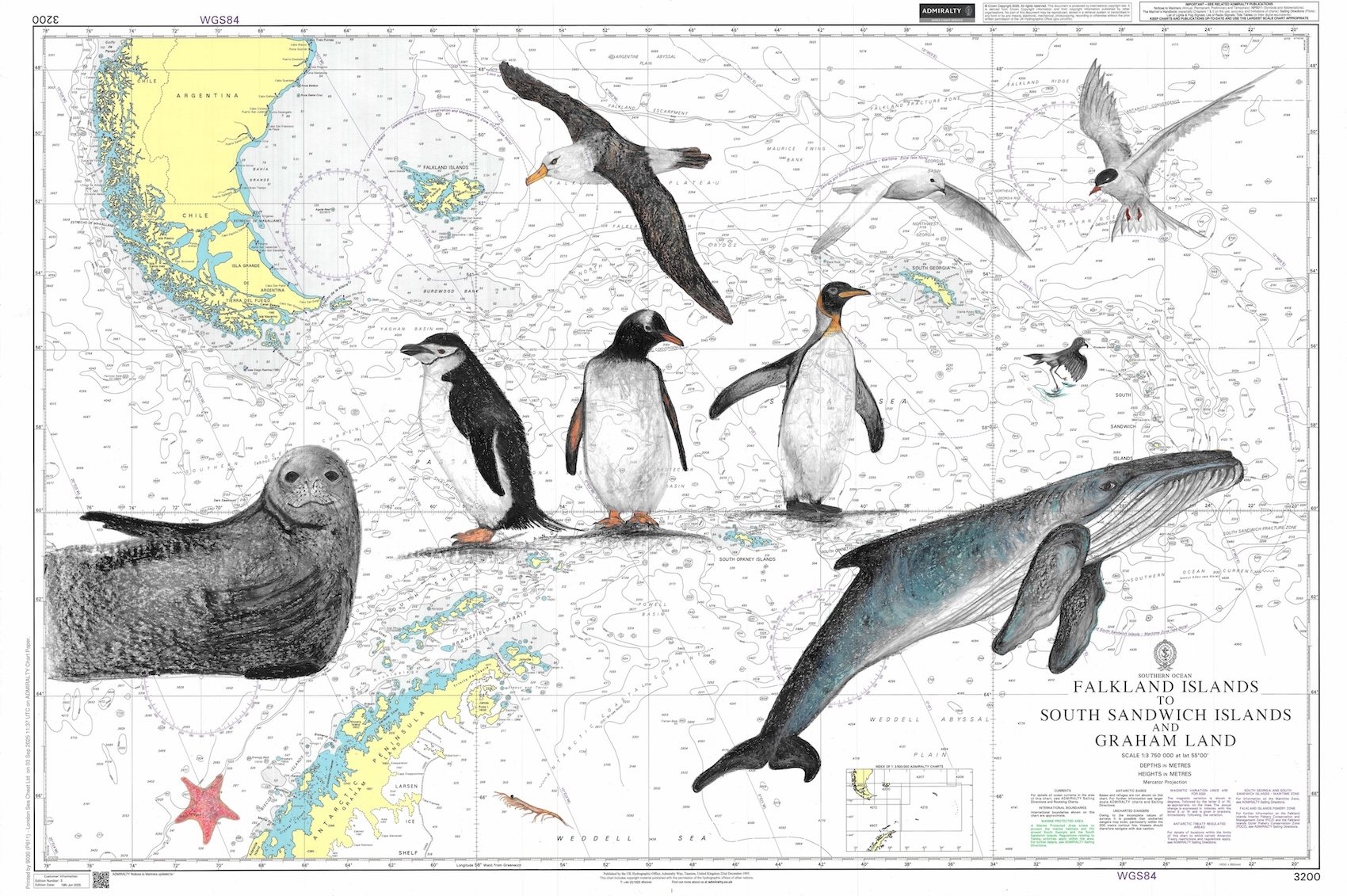 Falkland Islands to South Sandwich Islands and Graham Land.jpg