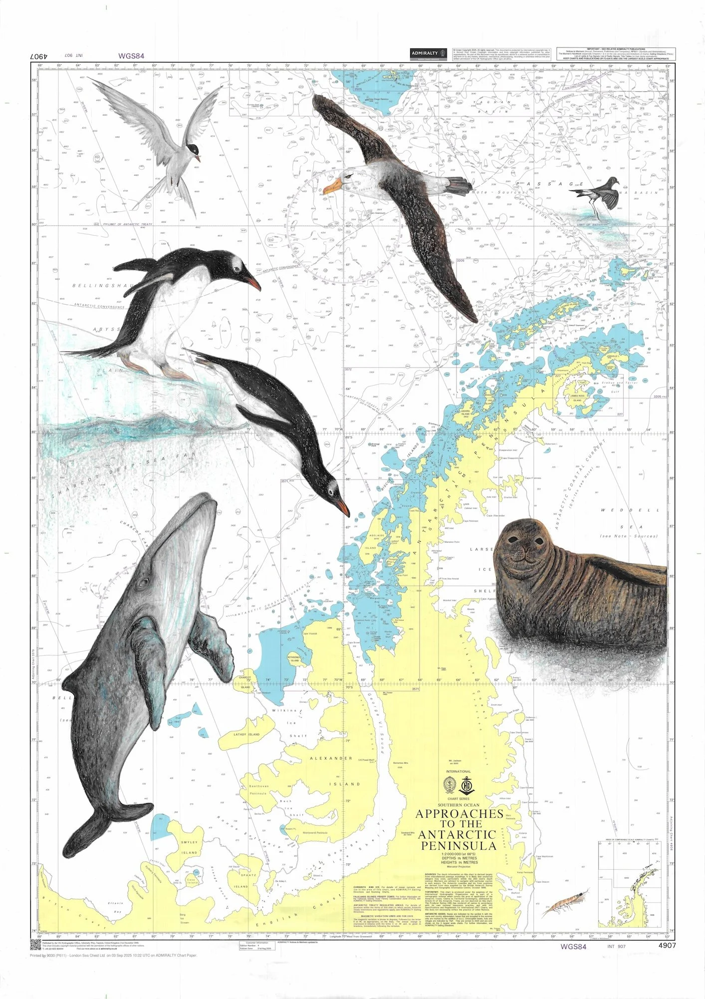 Approaches to the Antarctic Peninsula 2.jpg