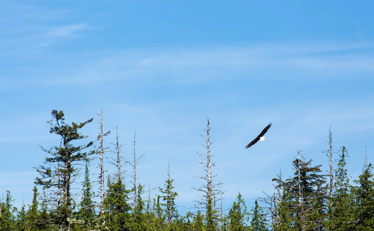 Sophie Deschamps  / ©Parks Canada