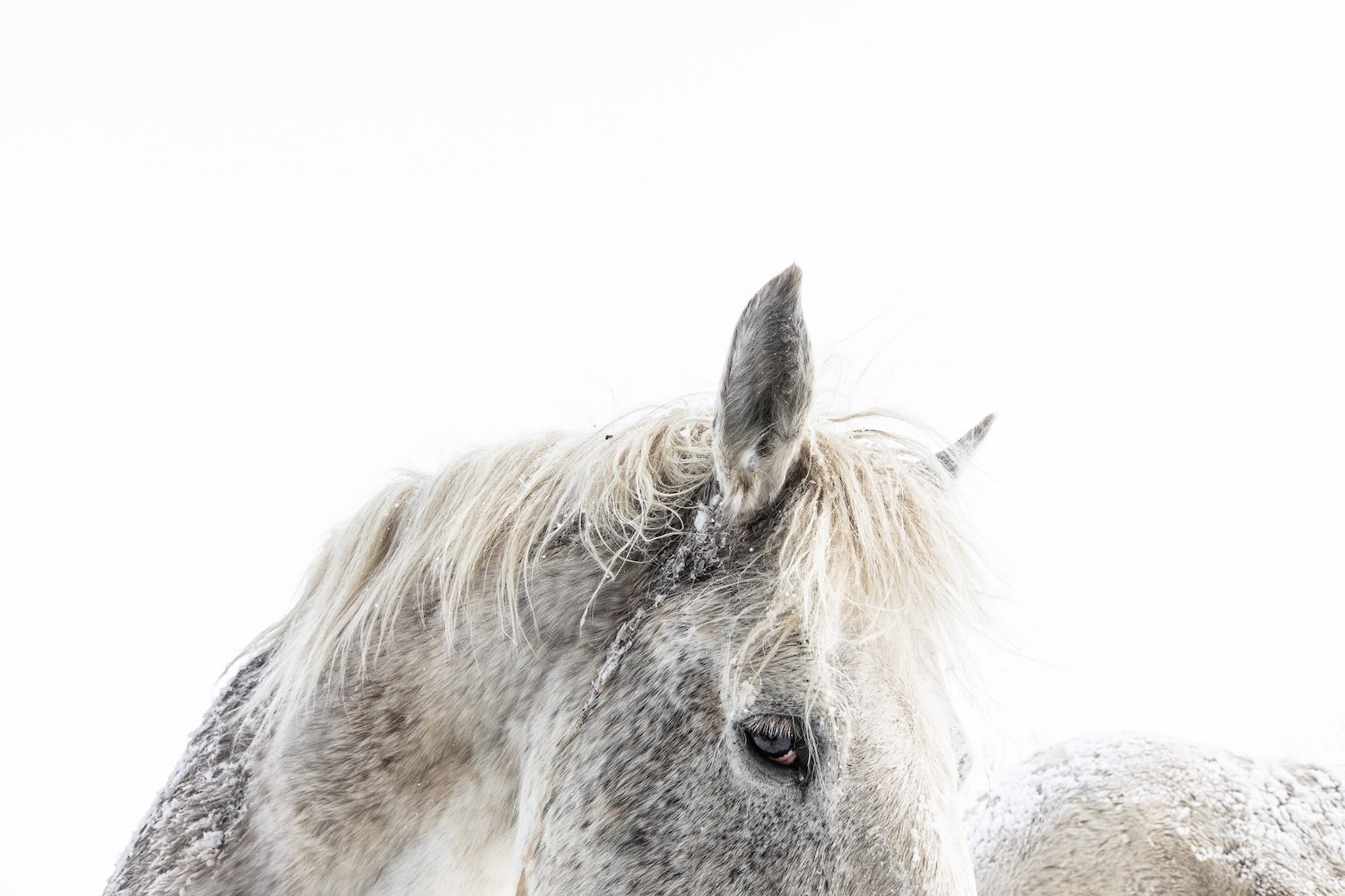 Sophie Deschamps  / ©Parks Canada