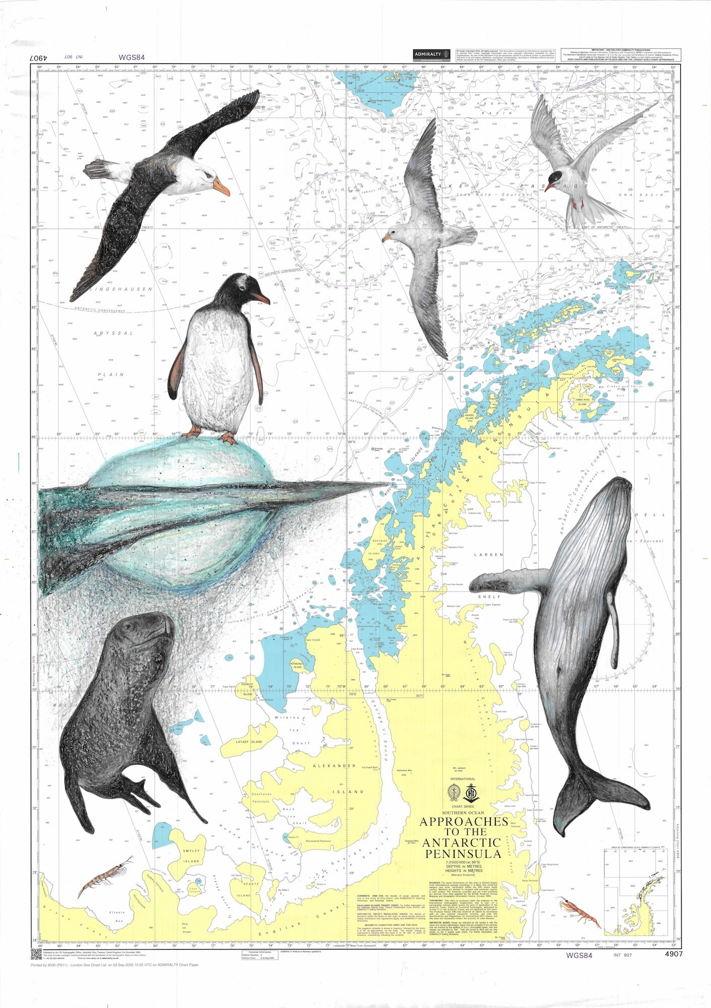 Approaches to the Antarctic Peninsula 3.jpg