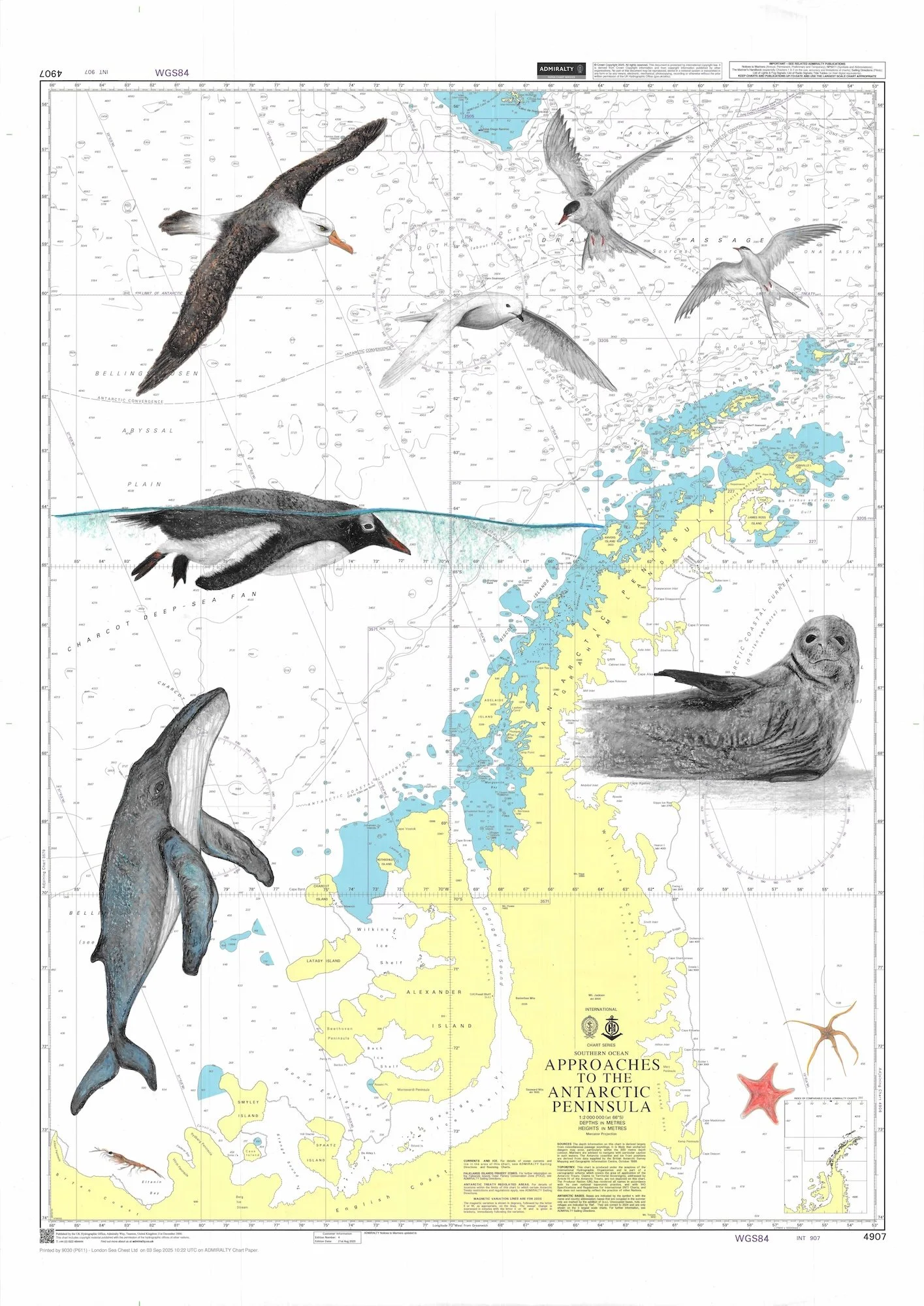 Approaches to the Antarctic Peninsula 4.jpg