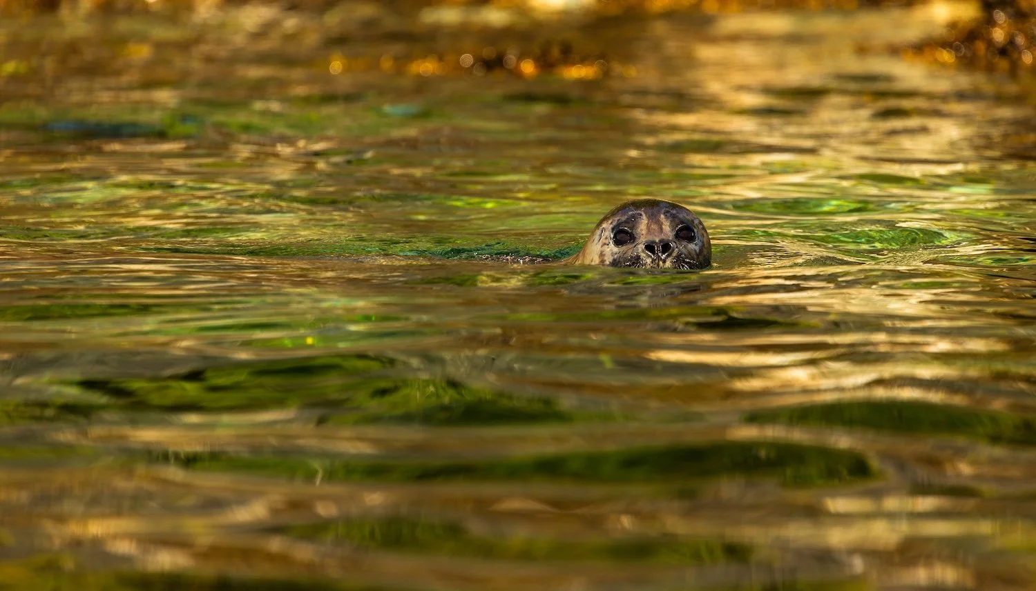 Sophie Deschamps  / ©Parks Canada