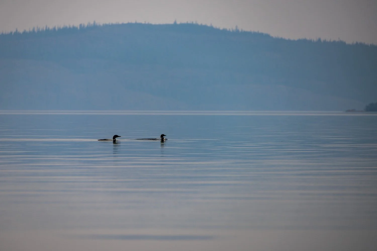 Sophie Deschamps  / ©Parks Canada