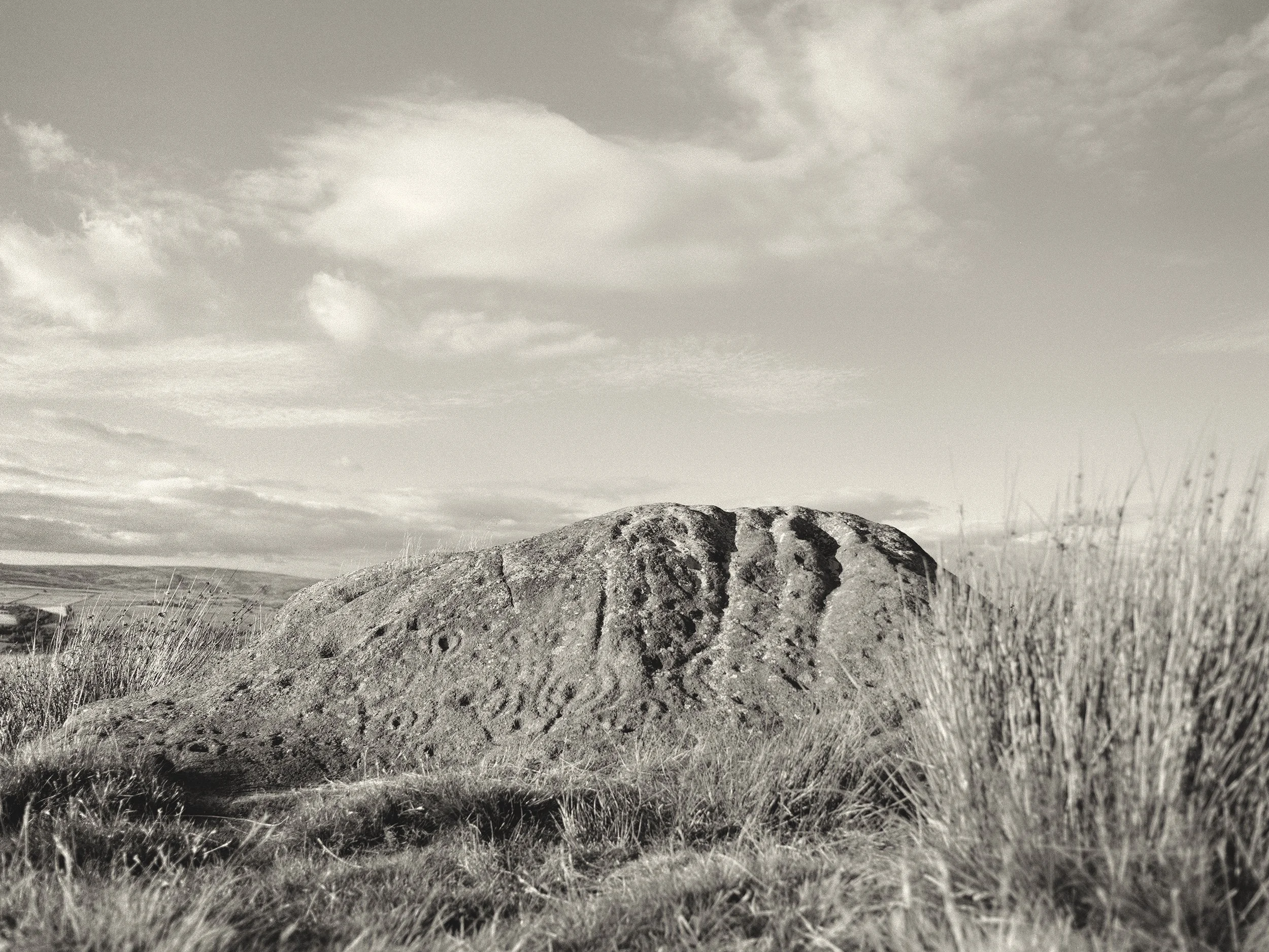 Black and white photographic image of Badger Stone known for prehistoric cup and ring marks on a large rock shaped like a badger, part of the neolithic rocks on Ilkley Moor, within the Bradford Pennine Gateway National Nature Reserve in Yorkshire