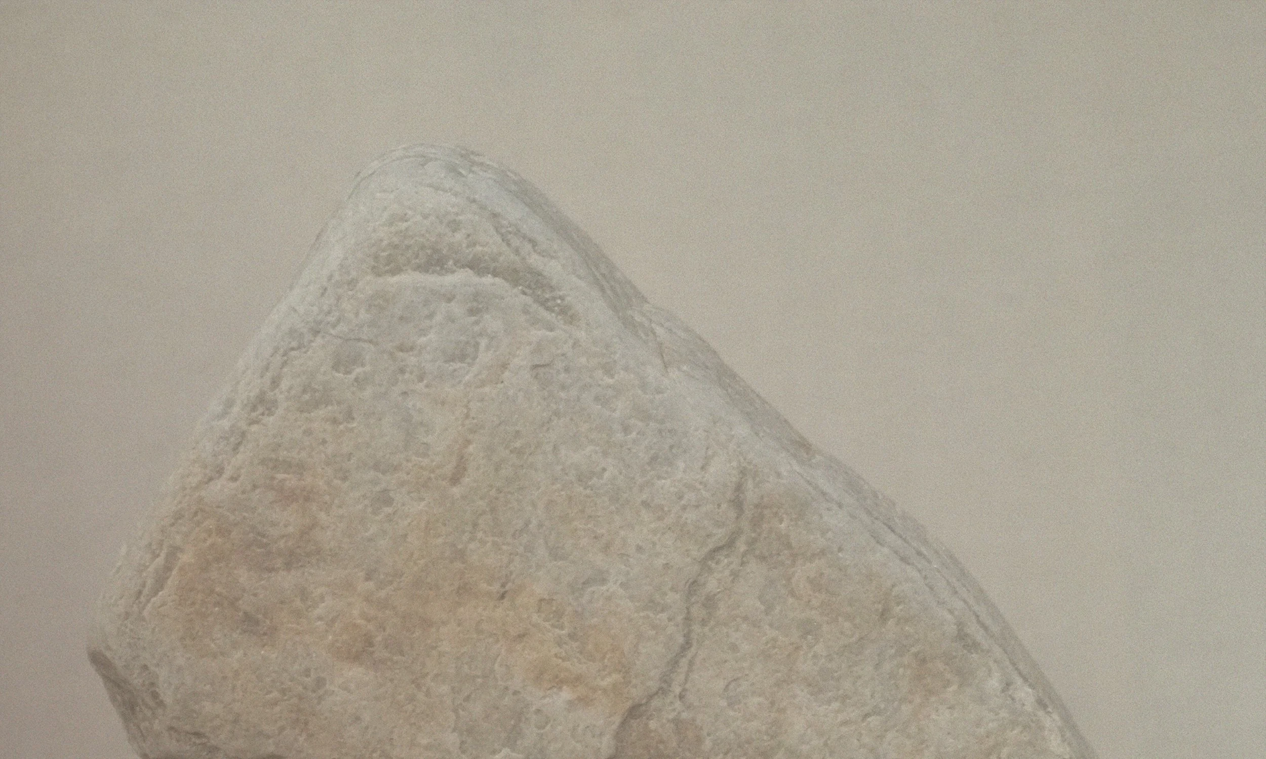 Close up photograpic image of part of a trinagular shaped rock in warm faded browns and greys