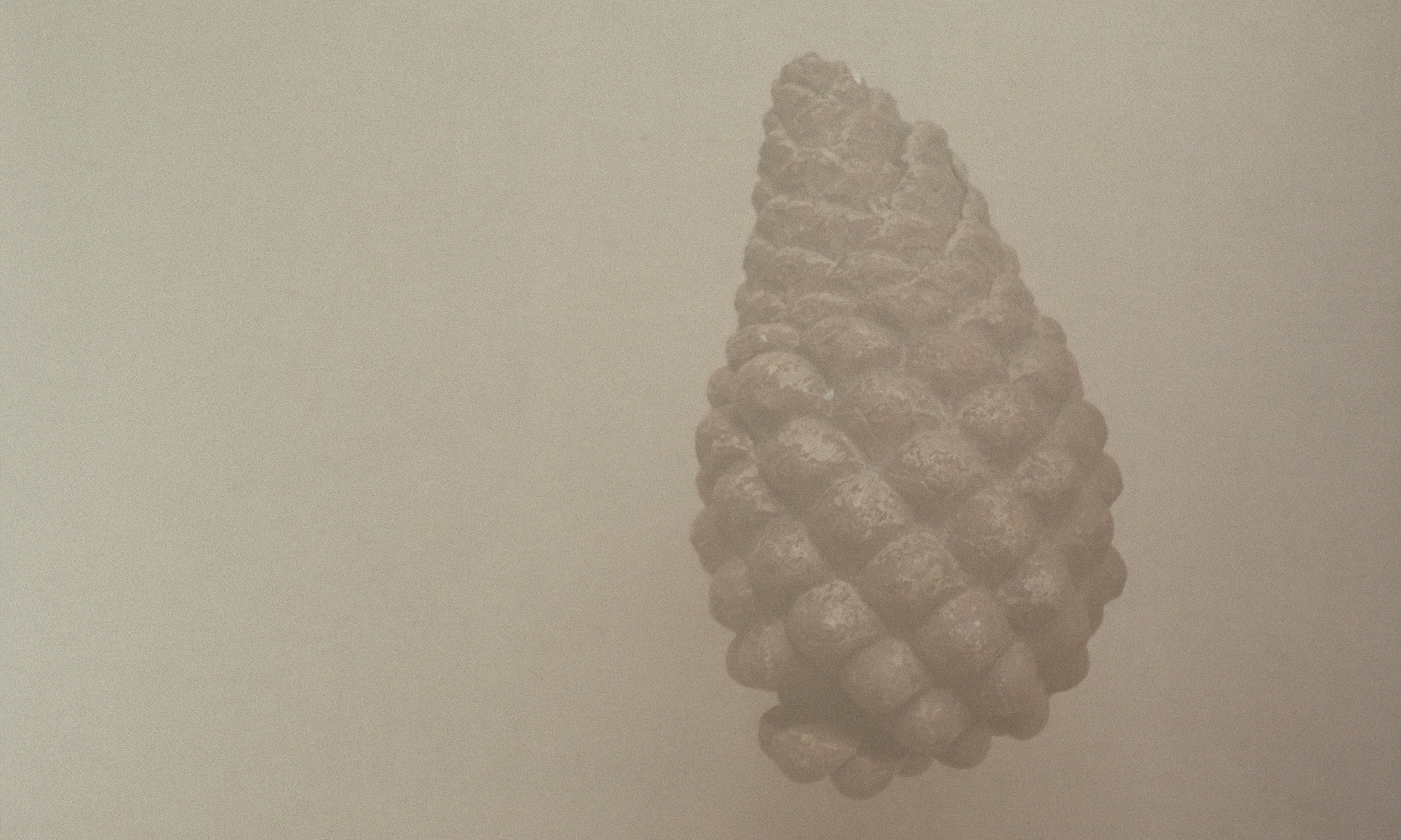 Faded minimal photographic image of a pine cone in brown hues,background image for customer service page of Reindeer Moss Photography