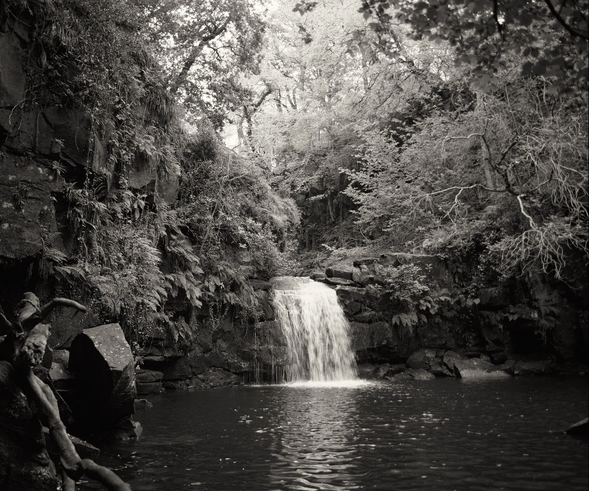 Black and white photographic image of Thomason Foss, a small secluded waterfall surrounded by rocks trees and foliage which create a folkloric frame around the waterfall which drops into a peaceful pool, situated in North York Moors