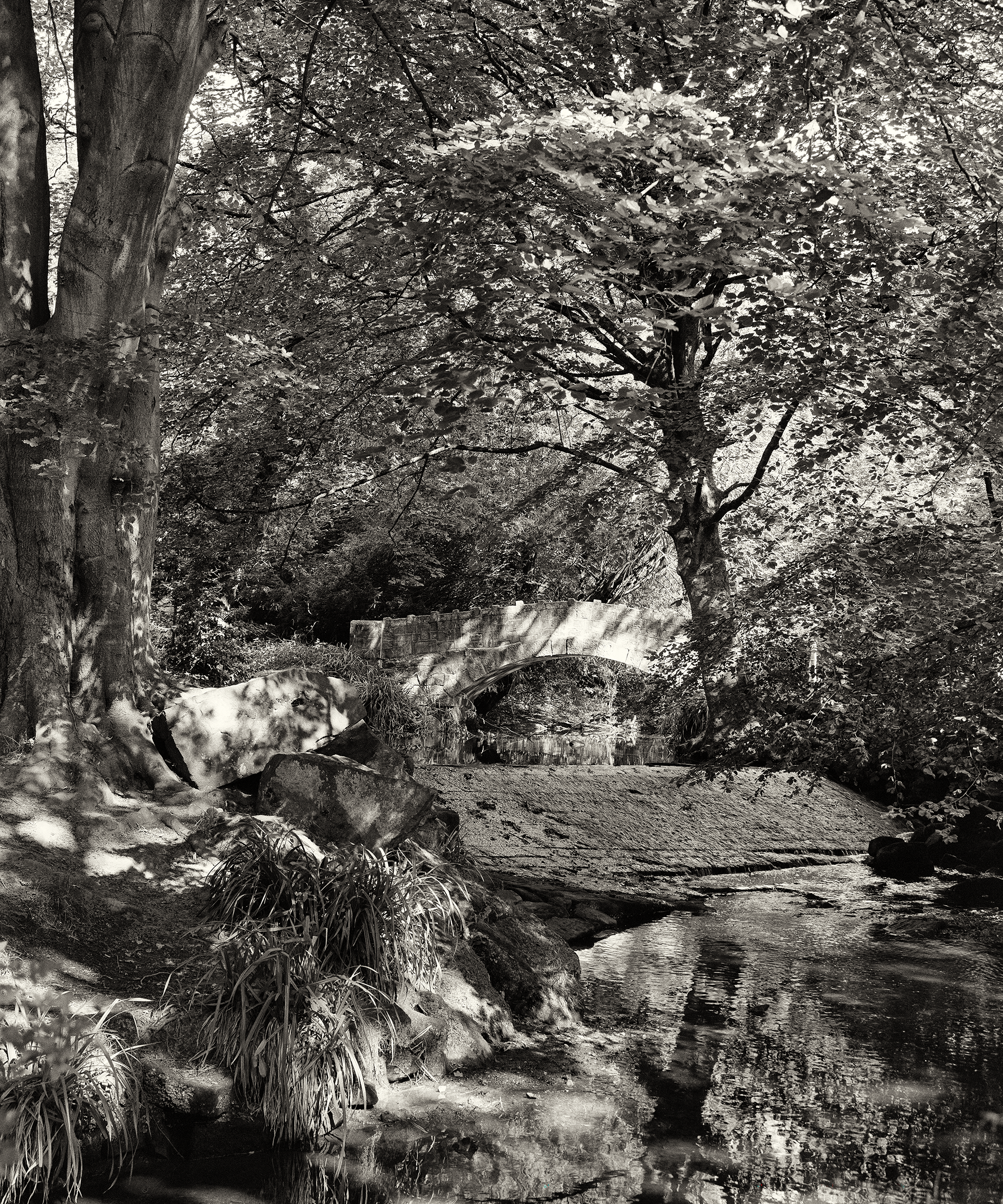 Black and white photograhic image of an old humpbacked bridge over Meanwood Beck, with towering mature trees creating dappled light over the bridge, rocks, water and foliage below, a beautiful image of Meanwood Park in the height of summer, Meanwood