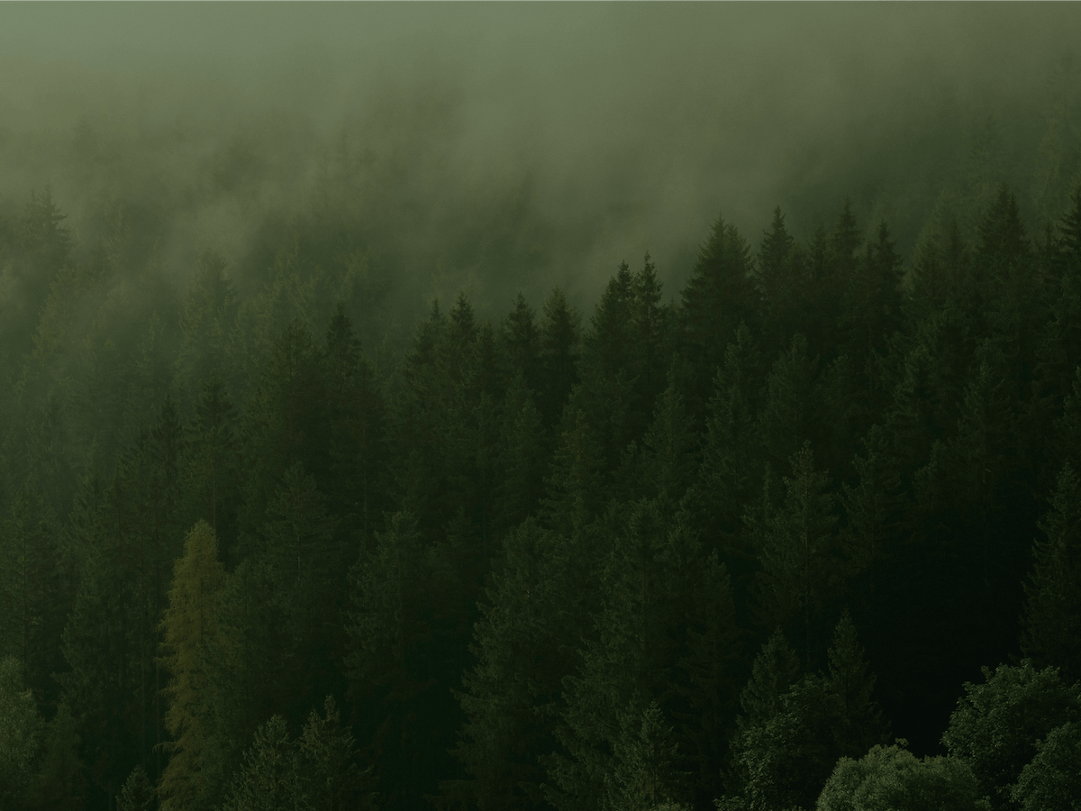 dynamique d'équipe koevä