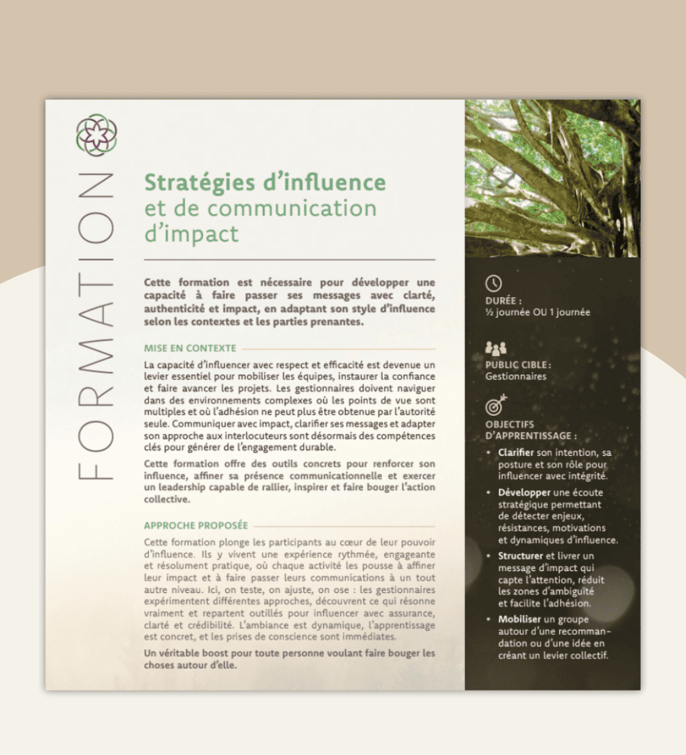 stratégie d'influence koevä