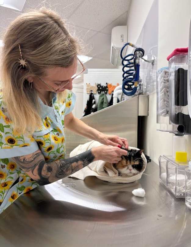 A woman with tattoos and sunflowers on her shirt is grooming a black and white cat in a veterinary or grooming station. The cat is on a towel in a stainless steel sink.